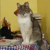 Отзыв от Виктория Вишневская